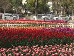 -玄武湖景区-情侣园游乐场