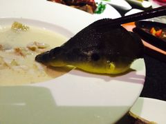 -梧桐餐厅(泉城路店)