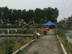 android_upload_pic-同銮特种养殖场·龙虾垂钓