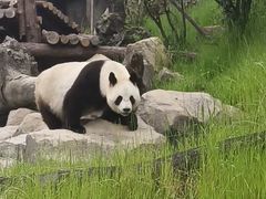 -宁波野生动物园