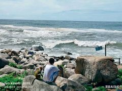 -广东惠东海龟国家级自然保护区
