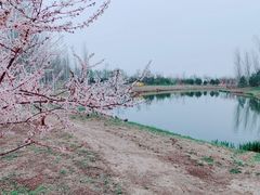 -东郊湿地公园