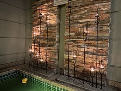 -春晖园度假酒店温泉