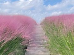 -羊亭河湿地公园