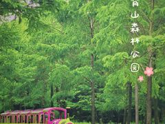 -宜兴龙背山森林公园