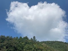 -东天目山风景区