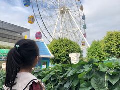 -百万葵园