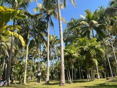 -中国科学院西双版纳热带植物园