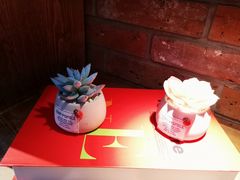 -8 Hearts Coffee(悟锦世纪大楼店)