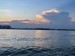 -瑶湖郊野森林公园