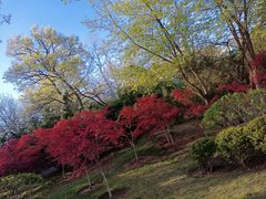 -棒棰岛宾馆景区