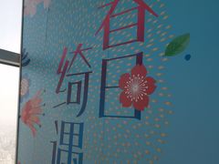 -上海环球金融中心骑迹50年环球之旅