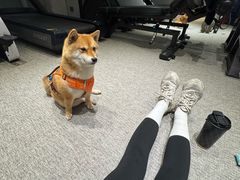-mYSTEPS健身运动馆(古北店)