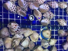-青蓬蒸汽海鲜·深圳老字号·团建聚会(壹方城店)