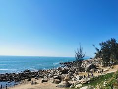 -广东惠东海龟国家级自然保护区