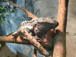 -Zoolung Zoolung动物主题公园(海信广场店)