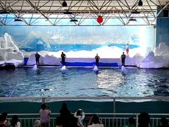 -秦皇岛乐岛海洋王国