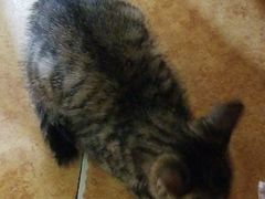 -聪辉同安老美食饭店(大元路店)