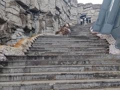 -辽宁古生物博物馆