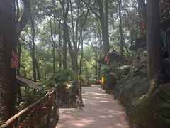 -巴倒烫陆派火锅山庄(南山总店)