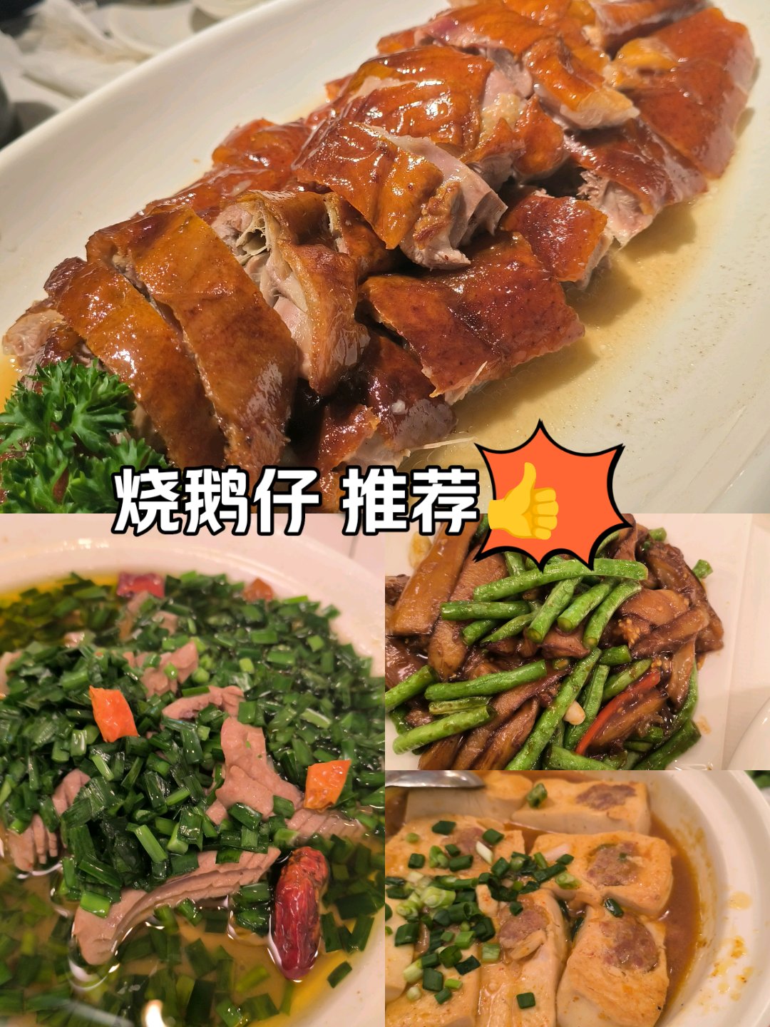 烧鹅仔煲仔饭图片