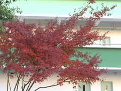 -上海市材料工程学校