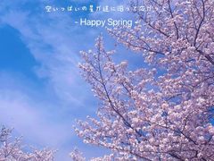 -顾村公园