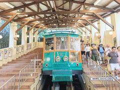 -神户市立六甲山牧场