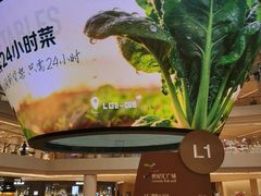 -上海世纪汇广场