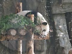 -上海野生动物园