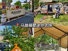 -天目湖涵田度假村