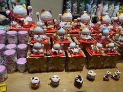 -猫咪博物馆(顶澳仔猫街店)