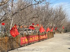 -香木香羊(小汤山店)