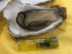 -蚝专家(北滘店)