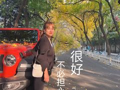 -三里屯东五街银杏大道