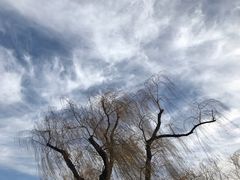 -迎泽公园