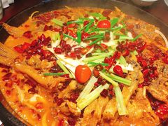 -老板恋上鱼(高新万达店)