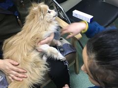 -康乐宝动物医院