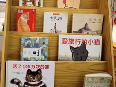 -COLOR PETS 撸猫馆·购猫·猫咖(长风大悦城店)
