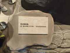 -白鹤梁水下博物馆