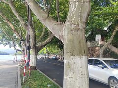 -北山街历史文化街区