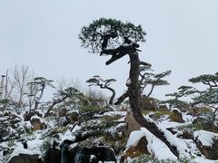 -罗红摄影艺术馆