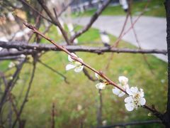 -新长岭大酒店酒楼