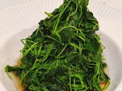 -白家餐厅(徐家汇店)