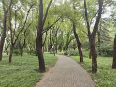 -玲珑塔公园