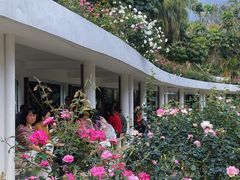 -人民公园(罗湖区)