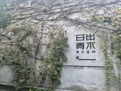 -日出青木