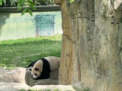 -上海野生动物园