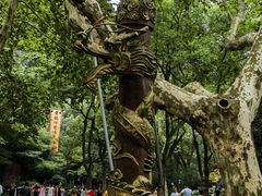 -杭州黄龙洞
