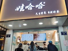 门面-娃哈哈·奶茶(武林店)